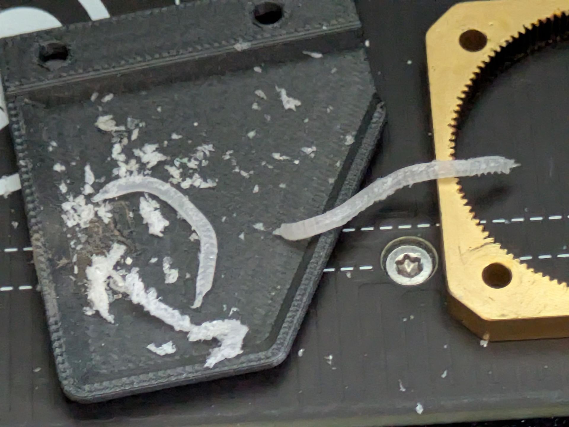 3D Printer workshop project photo